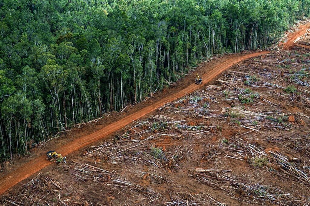 Brasile annuncia piano ambizioso per fermare la deforestazione dell’Amazzonia entro il 2030